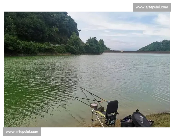 红树林钓鱼的 3 个暗码：99% 的人踩错潮汐与钓点